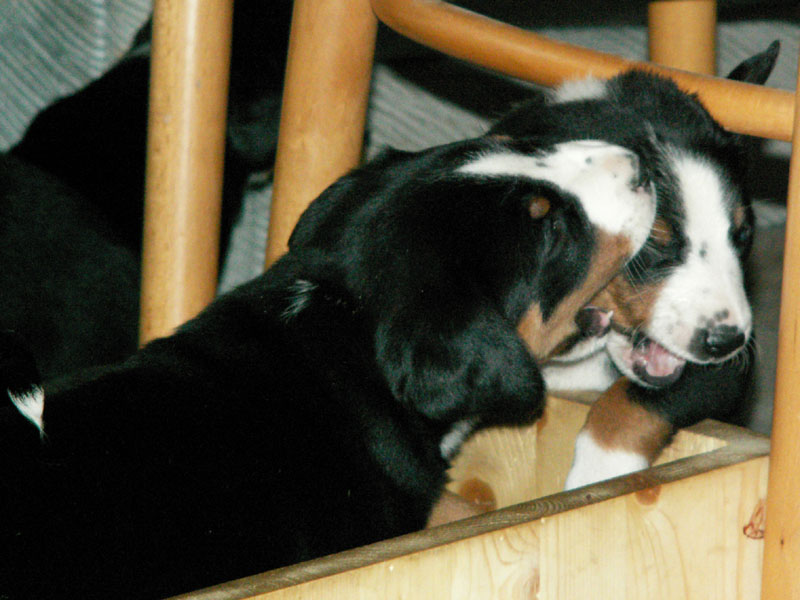 kliknut&iacute;m se zav�e : push-up = close