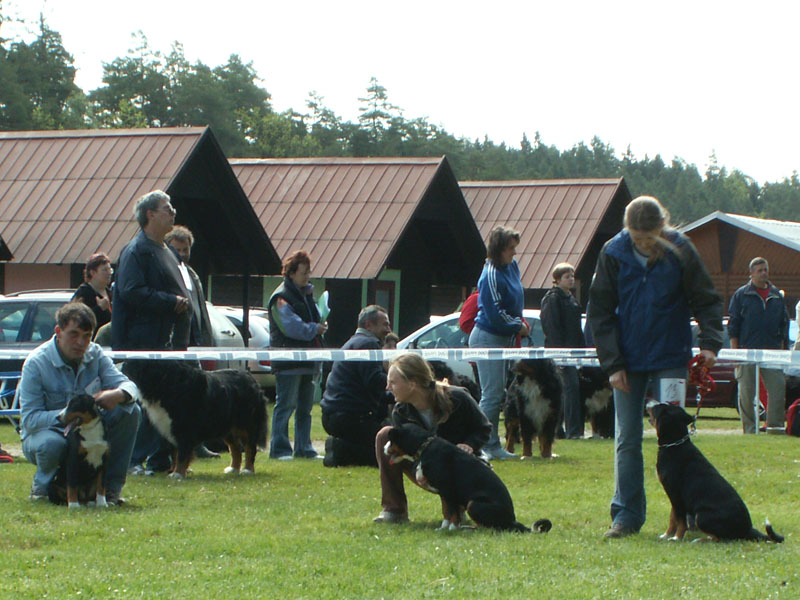 kliknut&iacute;m se zav�e : push-up = close