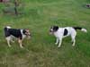 odpo�inek