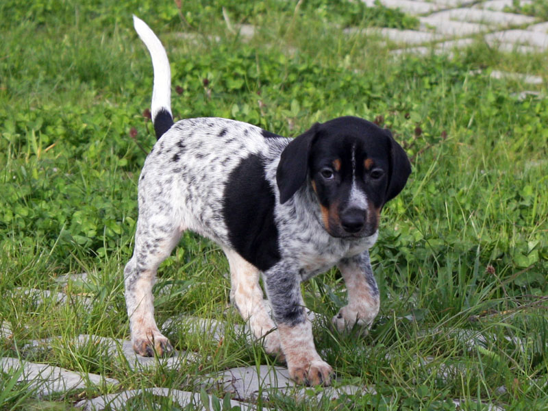 kliknut�m se zav�e
