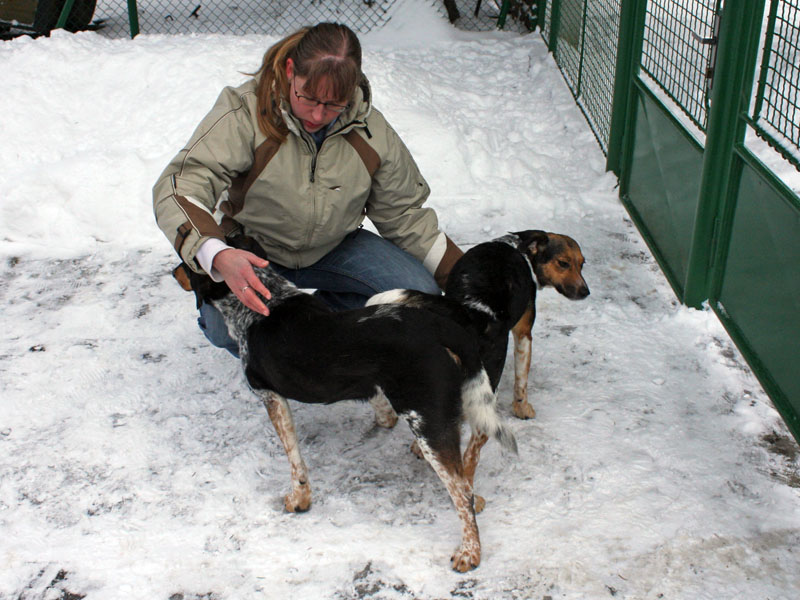 kliknut�m se zav�e